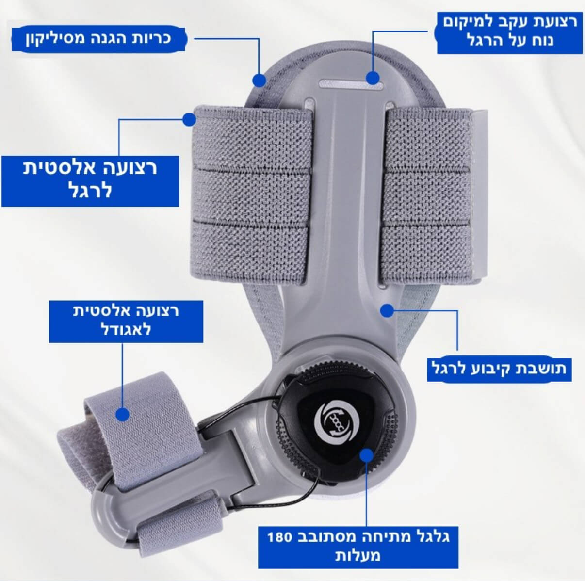 חלקי המוצר ופירוט על כל חלק