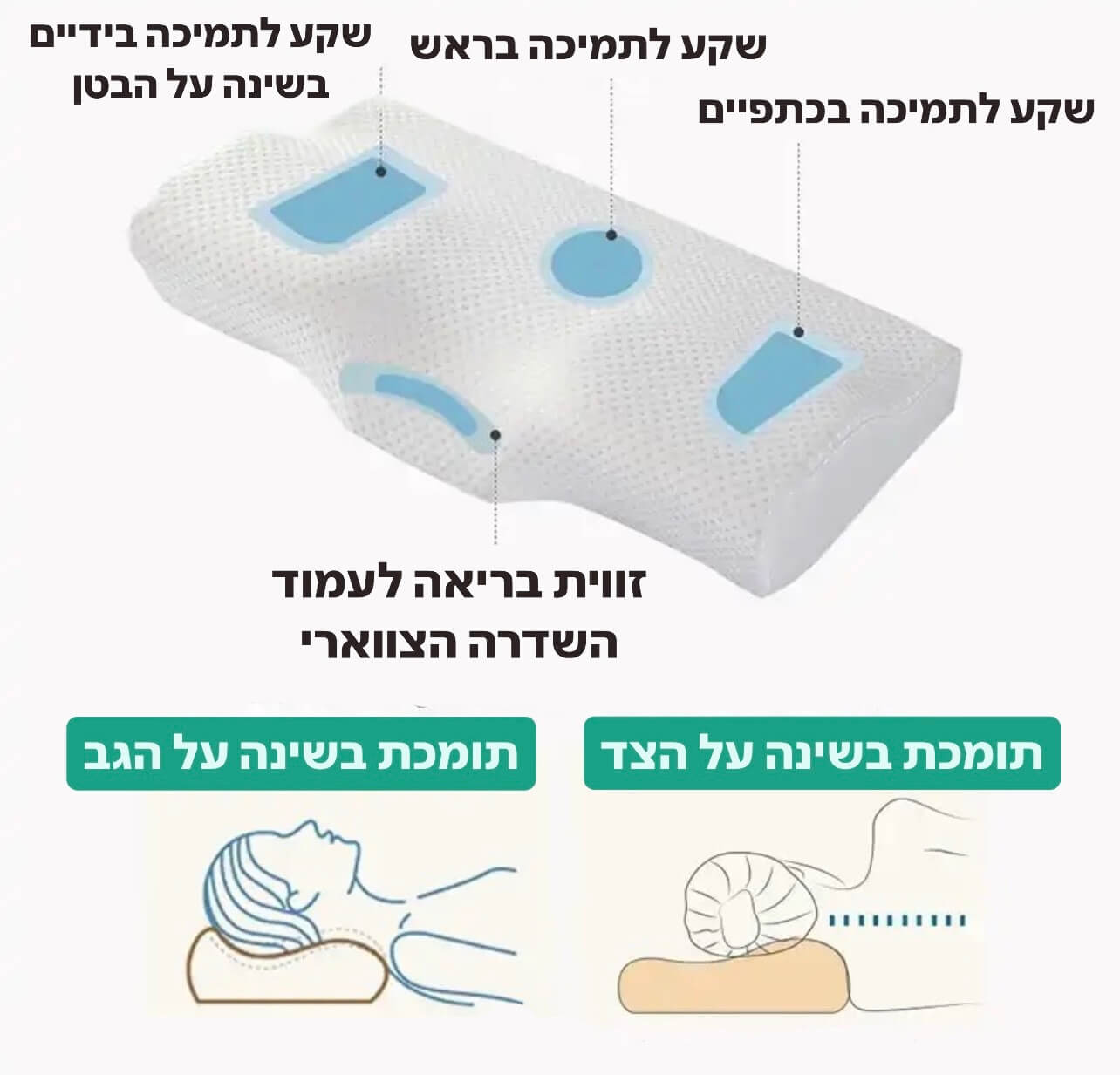 תומכת בשינה על הצד ועל הגב בזכות קימורים ושקעים לתמיכה בכתפיים ובראש
