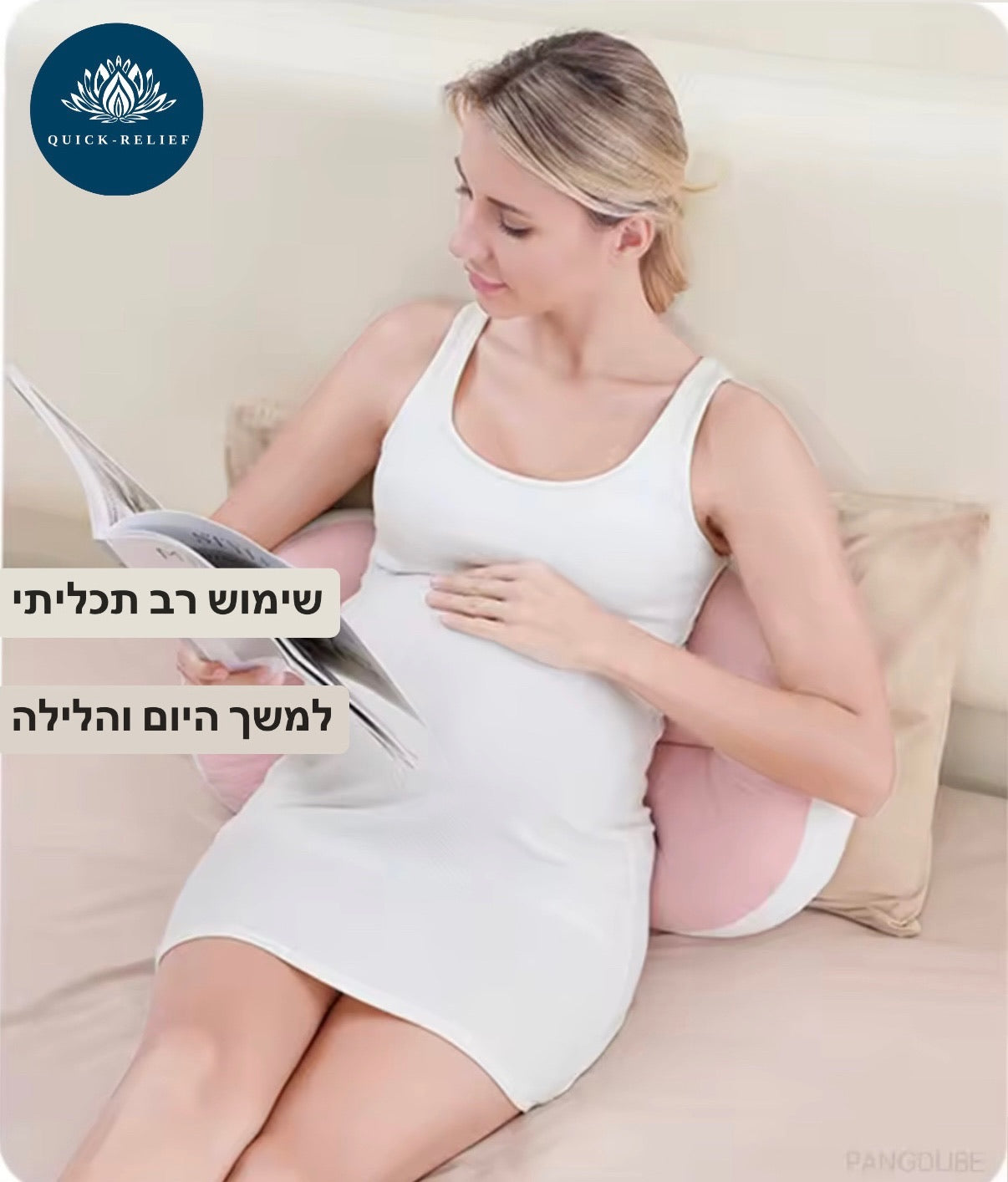 שימוש רב תכליתי