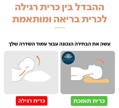 כרית תמיכה לצוואר