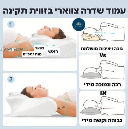 גובה ויציבות מושלמת, מנח נכון לצוואר
